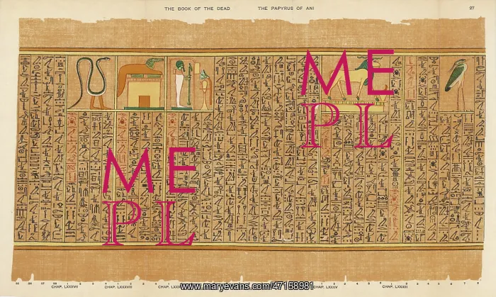 : Book of the Dead - Ancient Egypt : Book of the Dead - Ancient Egypt