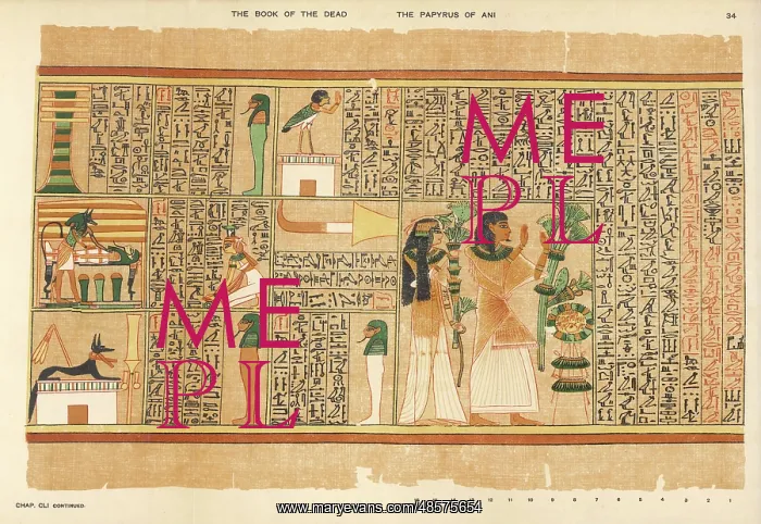 : Book of the Dead - Ancient Egypt : Book of the Dead - Ancient Egypt