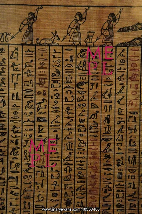  : Book of the Dead. Fragment. Egypt