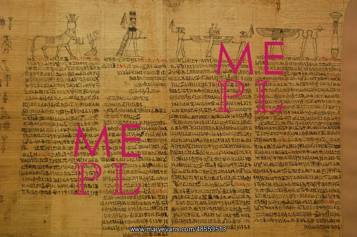 : Book of the Dead. Fragment of a papyrus. Egypt : Book of the Dead. Fragment of a papyrus. Egypt