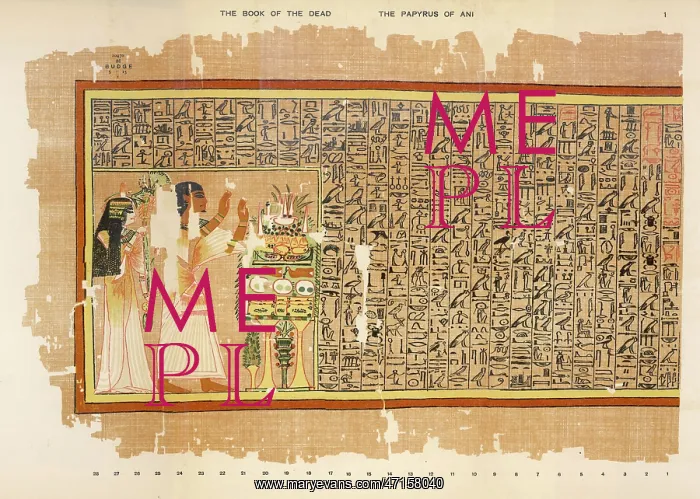 : BOOK OF THE DEAD / PLATE 1 : BOOK OF THE DEAD / PLATE 1