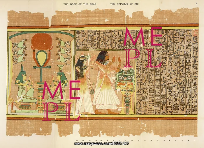 : BOOK OF THE DEAD PLATE 2 : BOOK OF THE DEAD PLATE 2