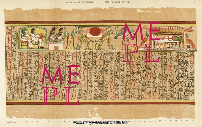 : BOOK OF THE DEAD PLATE 7 : BOOK OF THE DEAD PLATE 7