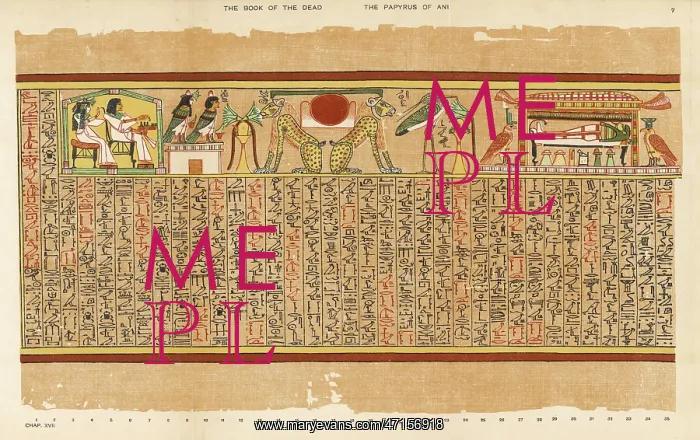 : BOOK OF THE DEAD PLATE 7 : BOOK OF THE DEAD PLATE 7