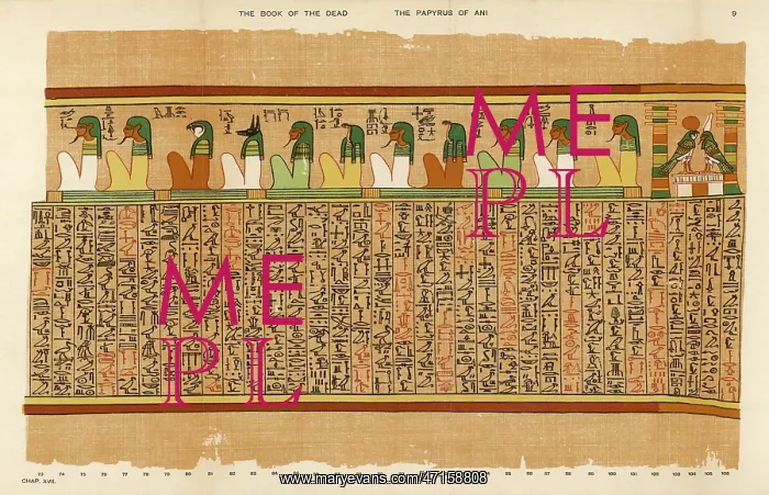 : BOOK OF THE DEAD / PLATE 9 : BOOK OF THE DEAD / PLATE 9