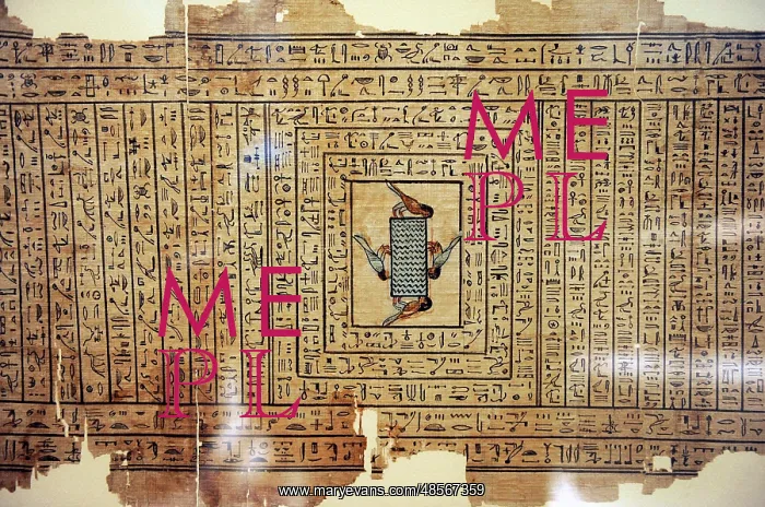 : Book of the Death of the mistress Neferini. Papyrus. Egypt : Book of the Death of the mistress Neferini. Papyrus. Egypt