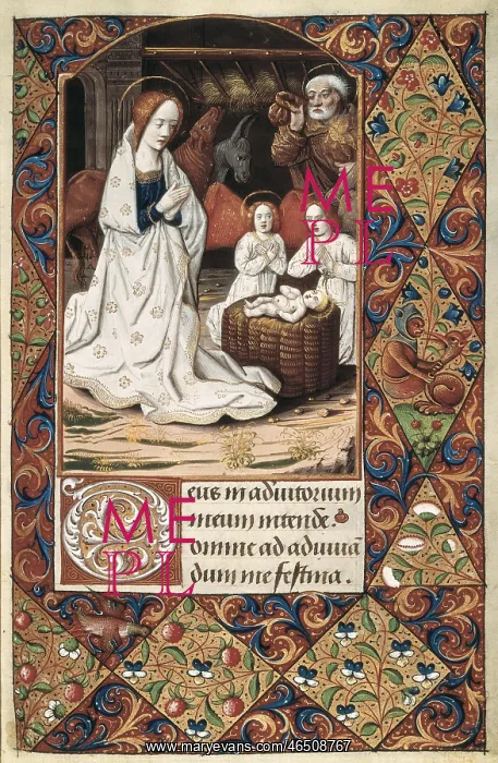: Book of Hours for Charles V. 16th c. Cod. Vitr : Book of Hours for Charles V. 16th c. Cod. Vitr
