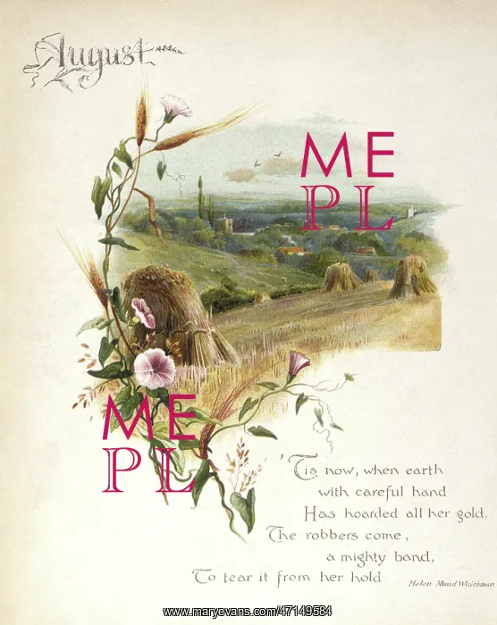 : Book illustration -- August : Book illustration -- August
