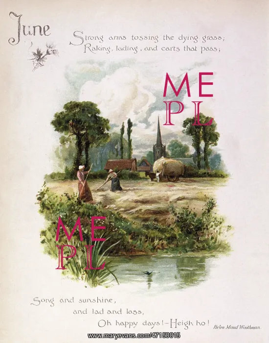 : Book illustration -- June : Book illustration -- June