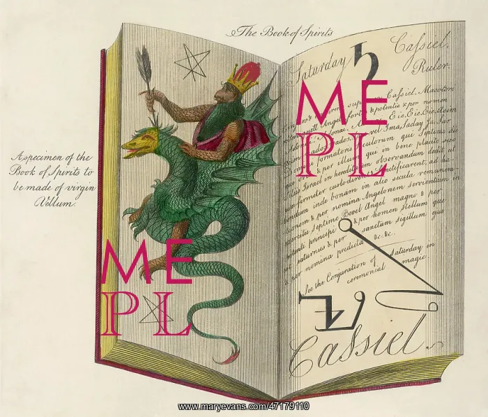 : BOOK OF MAGIC : BOOK OF MAGIC