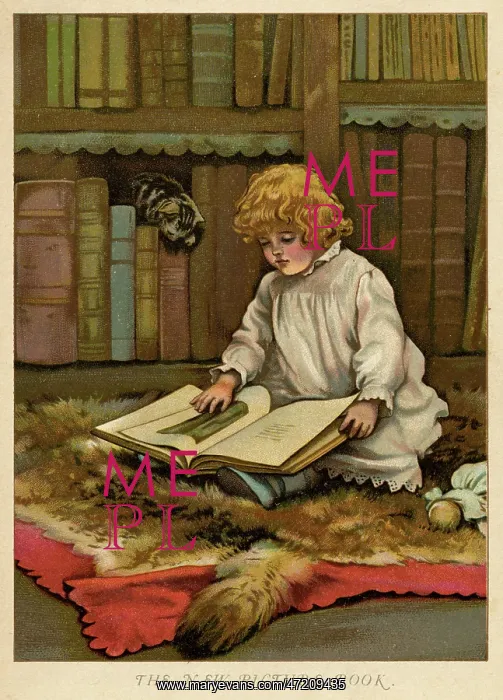 : BOOK ON A RUG