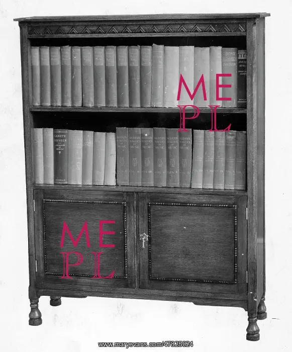 : A Bookcase : A Bookcase