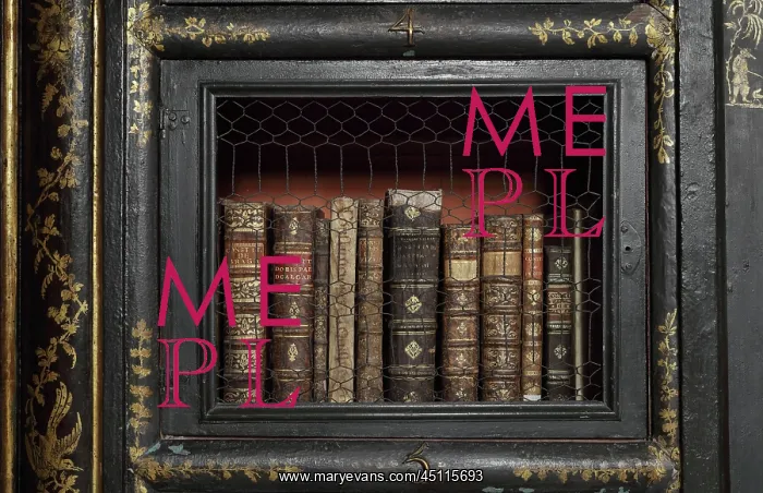 : Bookcase, Black Room, Biblioteca Joanina, Coimbra, Portugal : Bookcase, Black Room, Biblioteca Joanina, Coimbra, Portugal