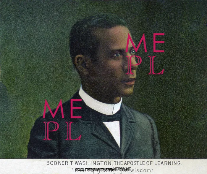 : Booker T. Washington, detail of the print, ? : Booker T. Washington, detail of the print, ?