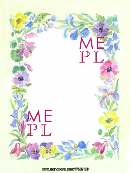  : Border with Anemones, Aquilegia, Irises, etc