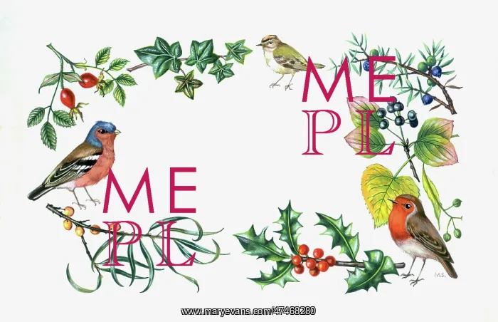 : Border of Birds, Berries and Foliage : Border of Birds, Berries and Foliage