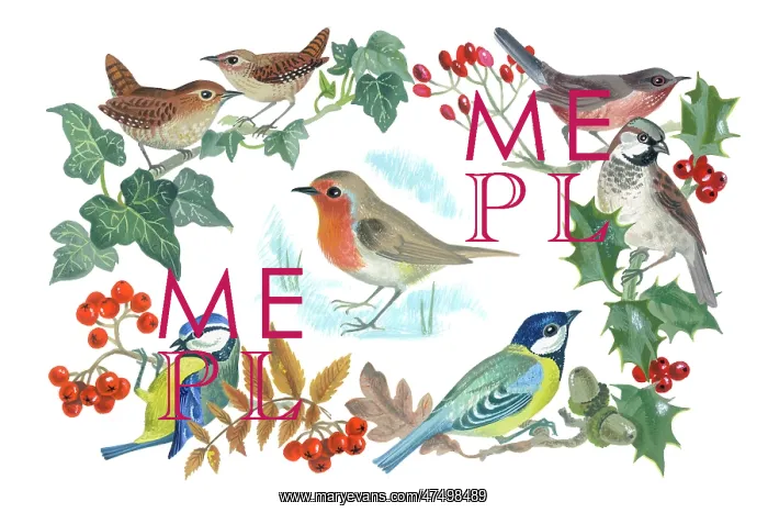 : Border of birds and berries with robin in centre : Border of birds and berries with robin in centre