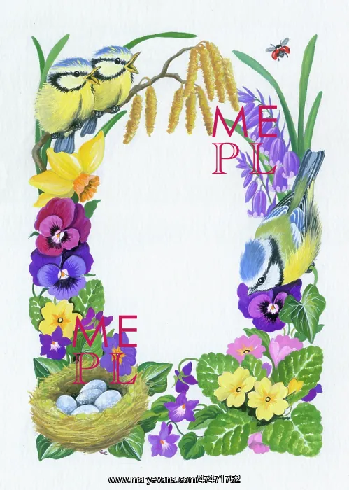  : Border of birds and flowers