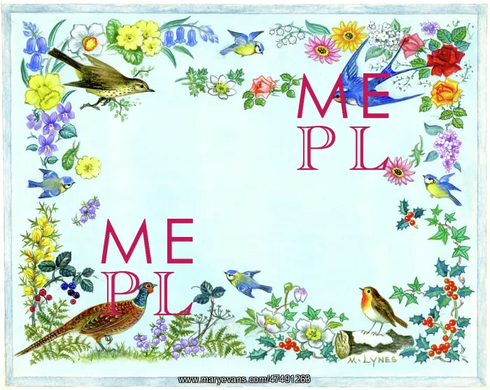 : Border of birds and flowers of the four seasons : Border of birds and flowers of the four seasons