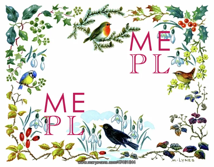 : Border design with birds, snowdrops, holly etc : Border design with birds, snowdrops, holly etc