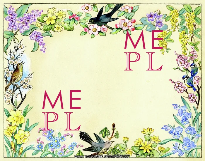 : Border design with birds and spring flowers