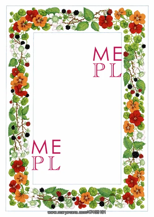 : Border design - blackberries and nasturtiums : Border design - blackberries and nasturtiums
