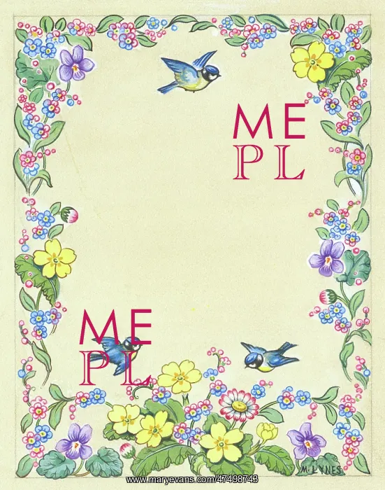 : Border design with blue tits and flowers : Border design with blue tits and flowers