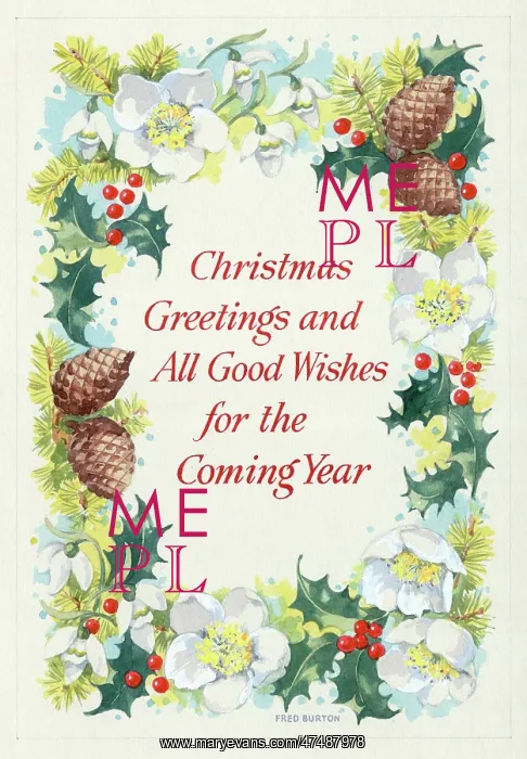  : Border design with Christmas roses etc