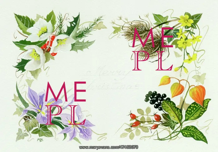 : Border design with Christmas roses etc