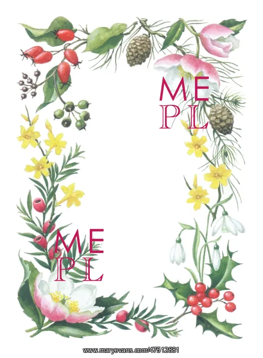 : Border design with Christmas roses etc : Border design with Christmas roses etc
