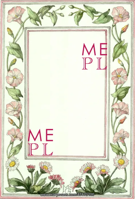  : Border design of daisies and convolvulus