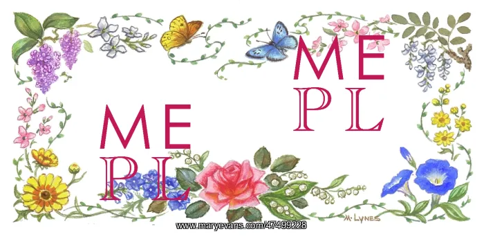 : Border design of flowers and butterflies : Border design of flowers and butterflies