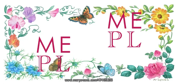 : Border design of flowers and butterflies : Border design of flowers and butterflies