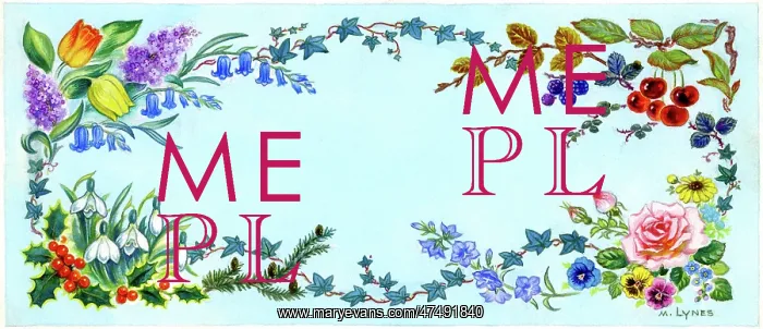 : Border design of flowers of the four seasons : Border design of flowers of the four seasons