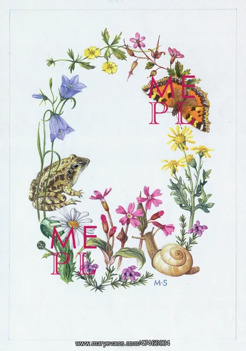 : Border design with frog, harebells, snail, etc : Border design with frog, harebells, snail, etc