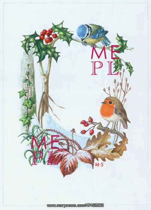  : Border design with holly, blue tit, robin etc