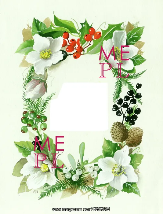 : Border design of holly, larch cones, spruce fronds, etc : Border design of holly, larch cones, spruce fronds, etc