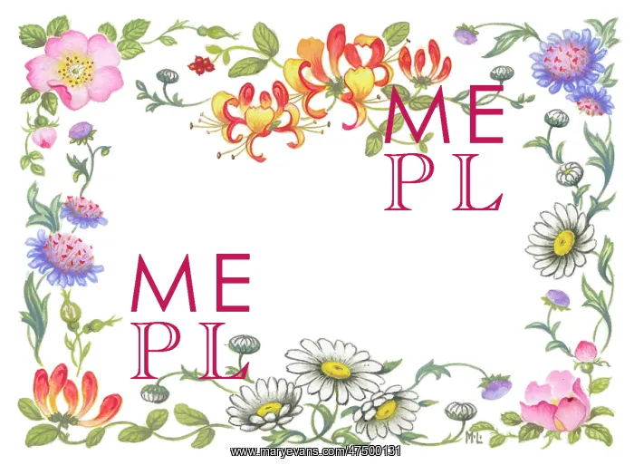  : Border design with honeysuckle and daisies