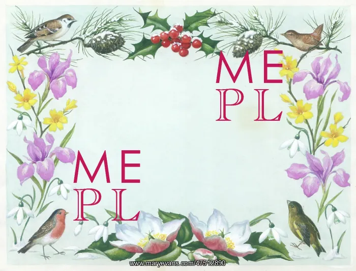 : Border design with iris, snowdrops, holly & birds : Border design with iris, snowdrops, holly & birds