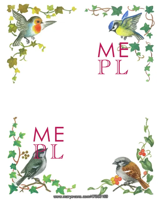 : Border design with ivy and a bird at each corner : Border design with ivy and a bird at each corner