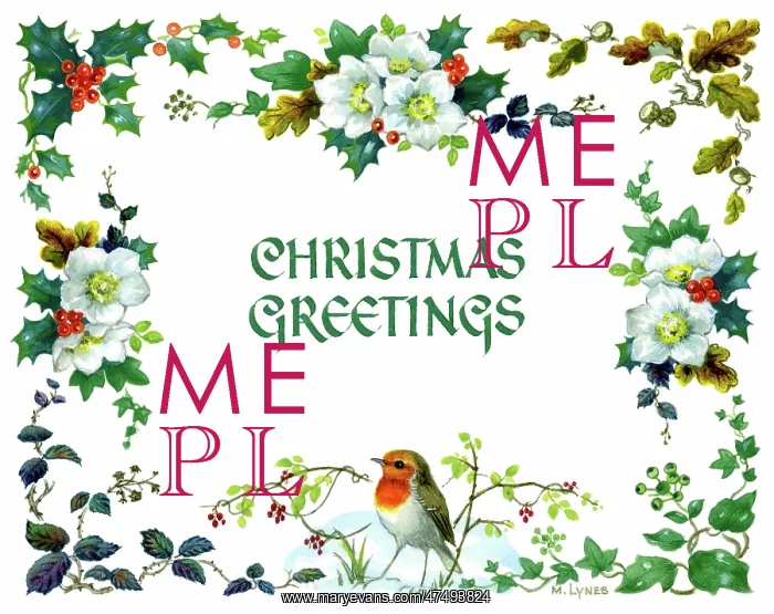 : Border design with robin and Christmas roses : Border design with robin and Christmas roses