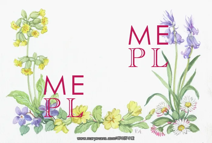  : Border design of spring flowers