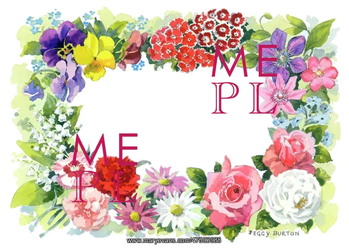 : Border design of Summer Flowers : Border design of Summer Flowers