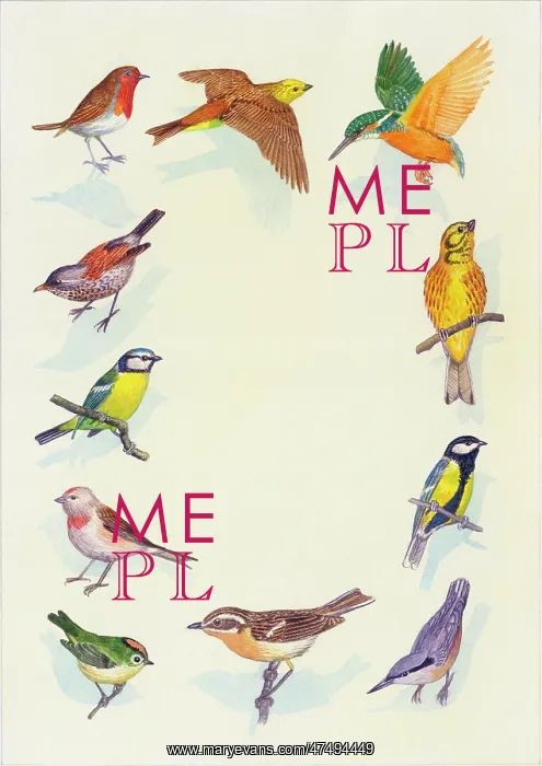 : Border design of various birds : Border design of various birds