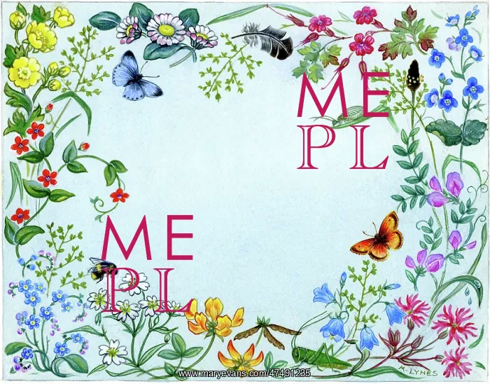 : A border design of wild flowers : A border design of wild flowers