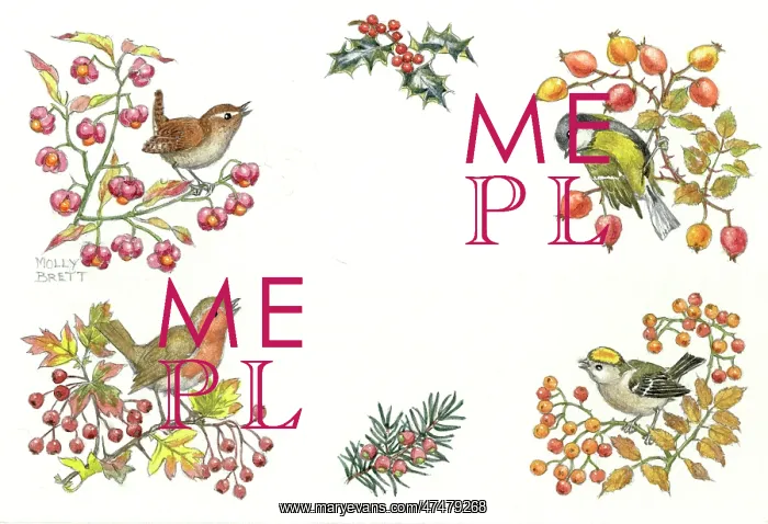 : Border design with wren, great tit, goldcrest : Border design with wren, great tit, goldcrest