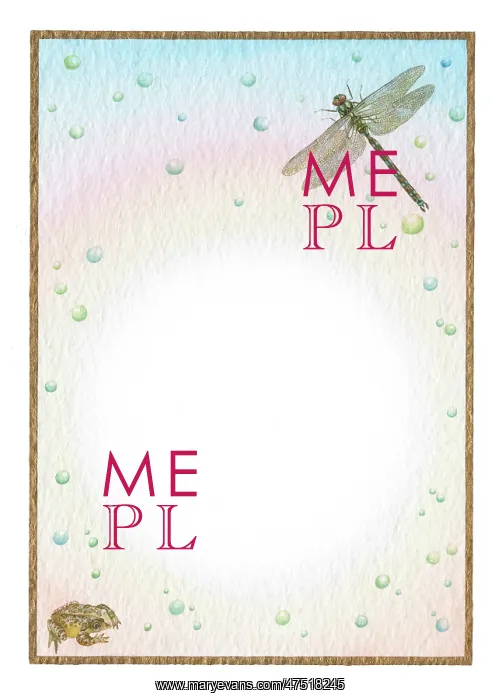  : Border with dragonfly and toad