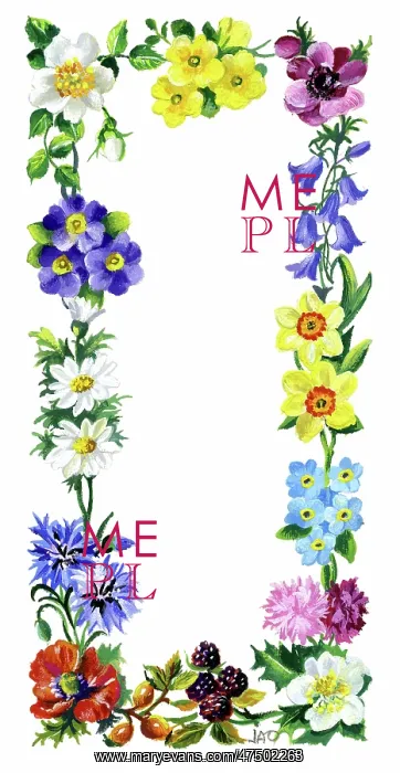 : Border of flowers of the four seasons : Border of flowers of the four seasons