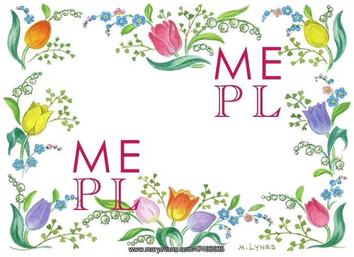 : Border of forget-me-nots, tulips etc : Border of forget-me-nots, tulips etc