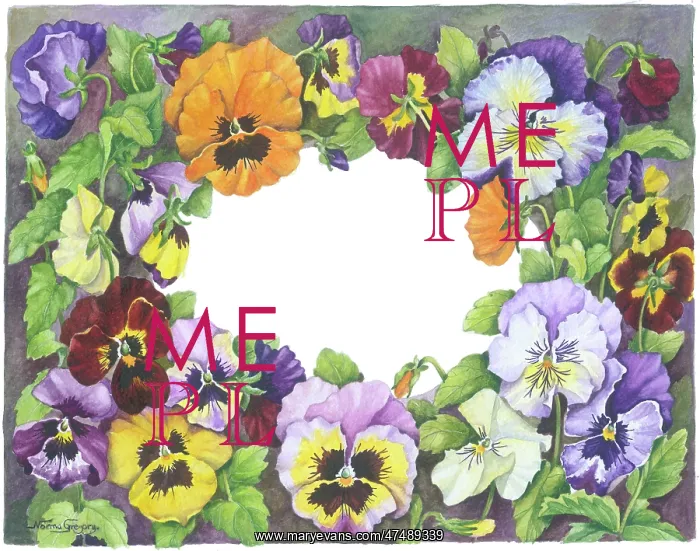  : Border of pansies